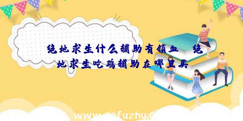 「绝地求生什么辅助有锁血」|绝地求生吃鸡辅助在哪里买